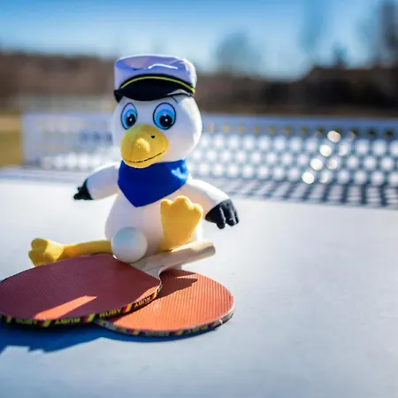 Apartment Lagovida Moewenblick B Am Stoermthaler Grosspoesna