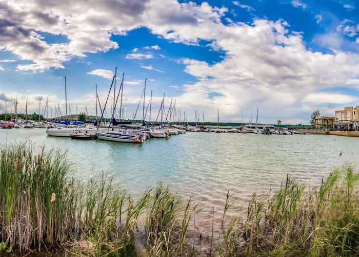 Lagovida Moewenblick B Am Stoermthaler *